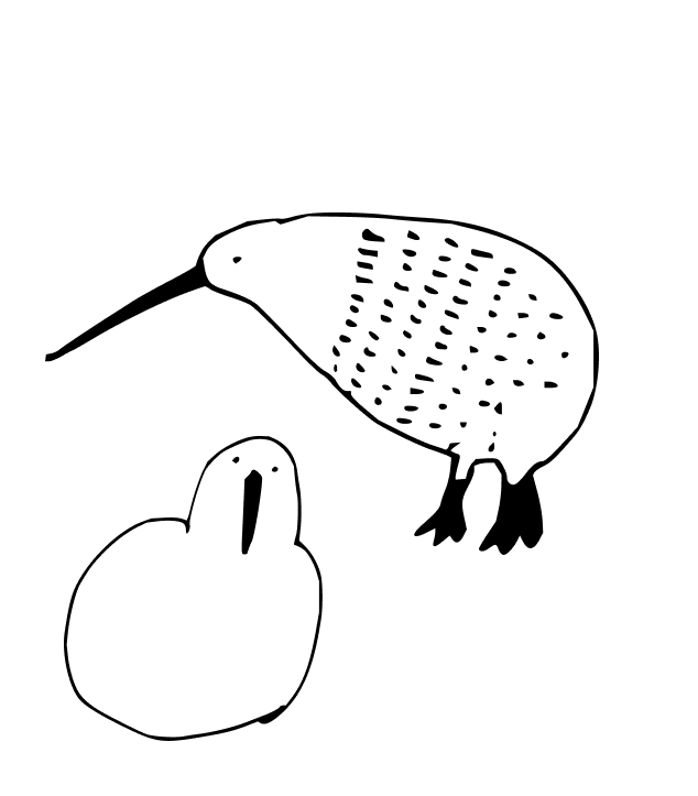 Tikki label illustration mixing sewing tools and New Zealand birds, image 3