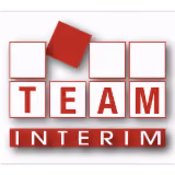 Team Interim