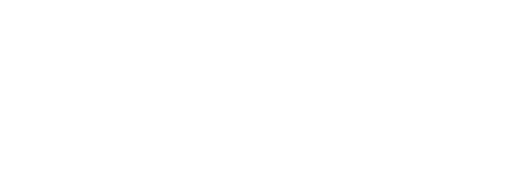 Zingly.ai