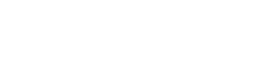 BizLink