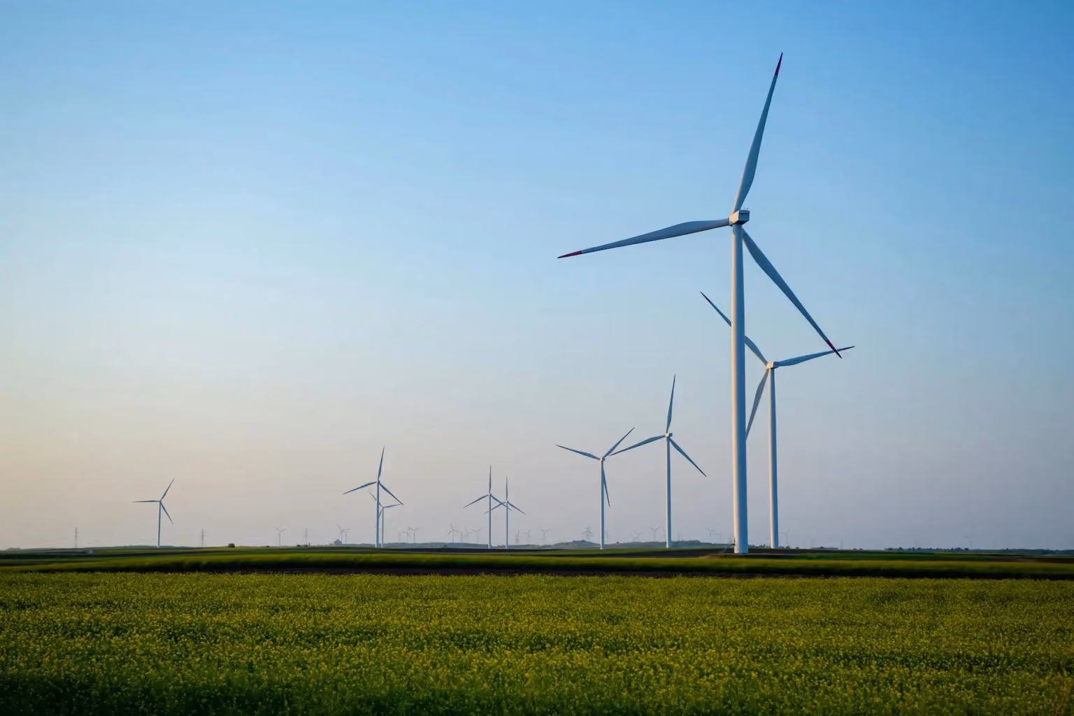 green landscape with blue sky and windmills