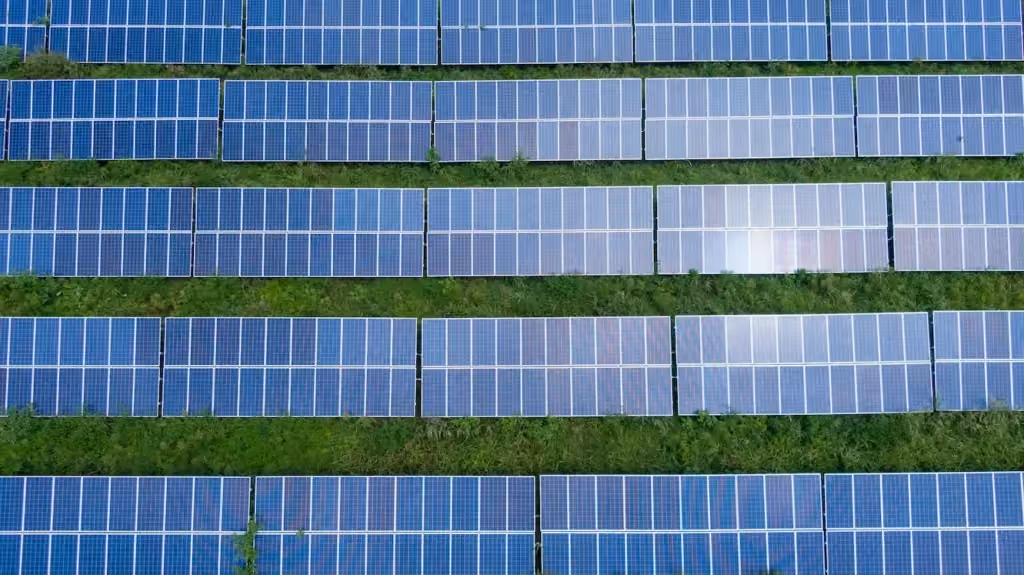 solar panels in a field, shown from a top view