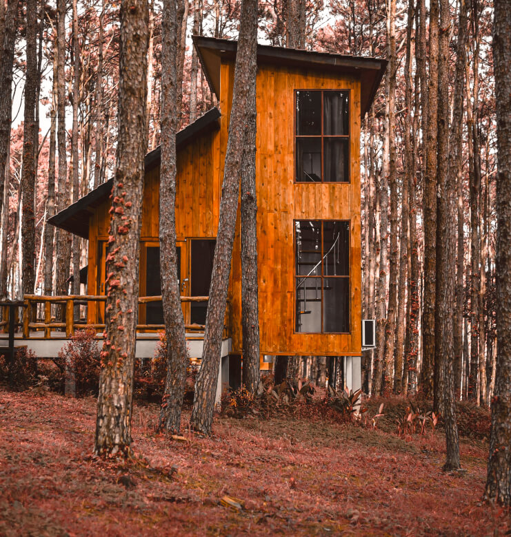 Revelstoke Mountain - Rental X Webflow Template