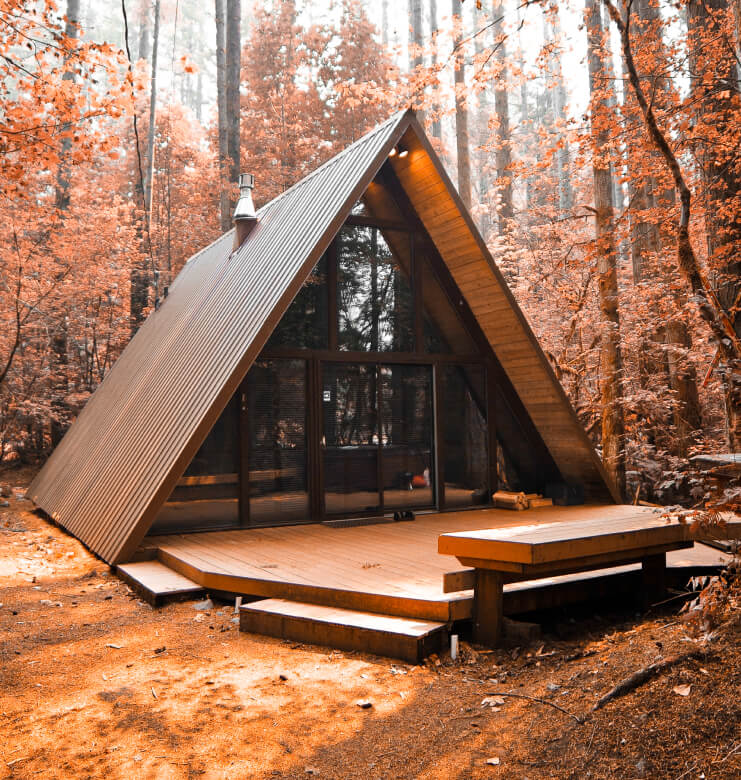 Plumas National Forest - Rental X Webflow Template
