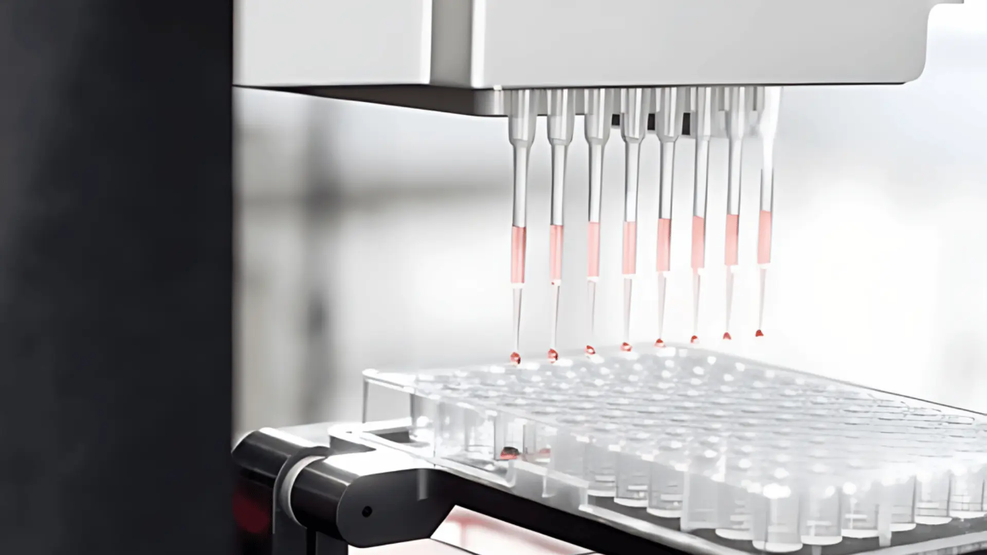 Pipettes automatisées répartissant un liquide rosé dans des tubes transparents alignés sur un support dans un laboratoire.