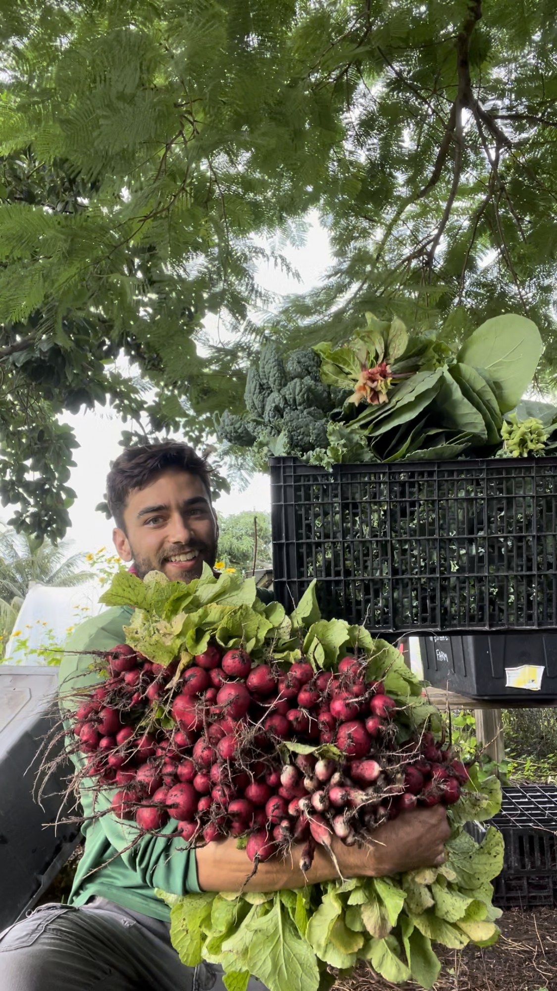 Andoni Ruiz smiling with an armload of freshly bunched red radishes beside crates of greens