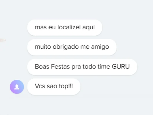 print de um elogio ao suporte da Guru