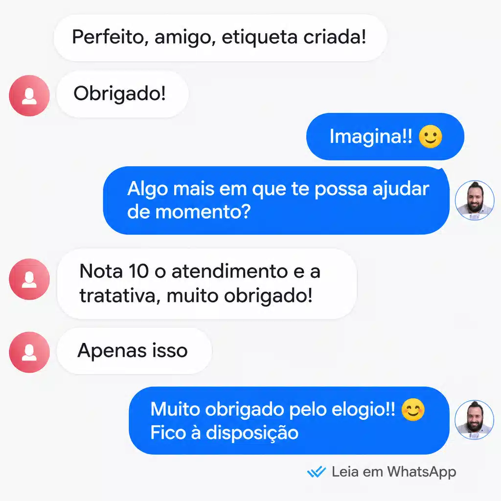 Captura de tela com elogio de cliente ao suporte e atendimento humanizado da Digital Manager Guru - [003]