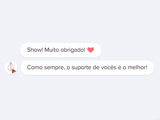 Captura de tela com elogio de cliente ao suporte e atendimento humanizado da Digital Manager Guru 