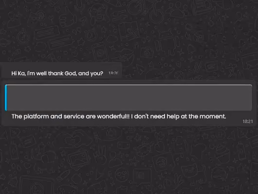 Screenshot of a customer message praising Digital Manager Guru’s platform and support.