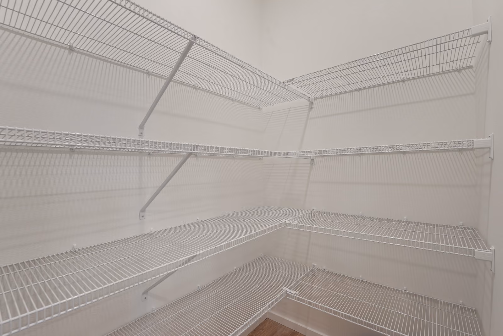 The walk-in pantry, shelved on three walls.