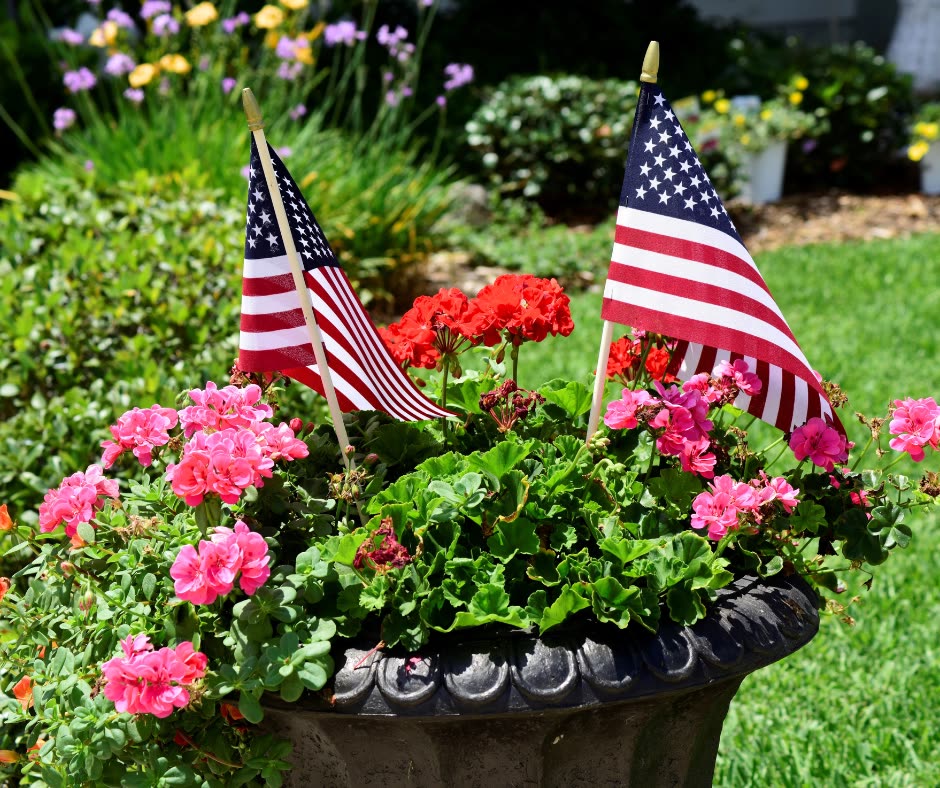 Planter of pink geraniums with two small American flags outside a home.