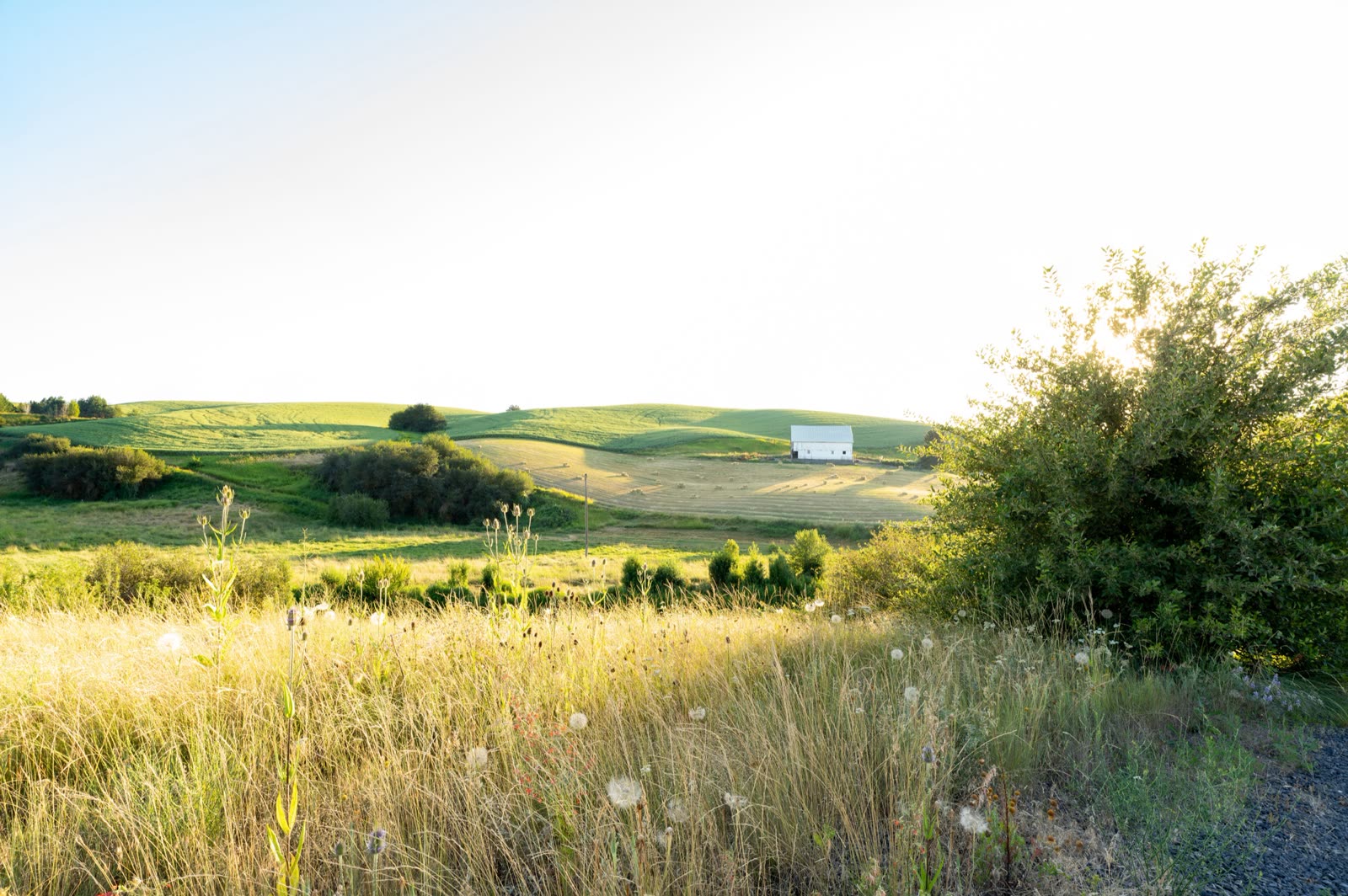 Rolling farmland and a white barn at golden hour outside Deer Park.
