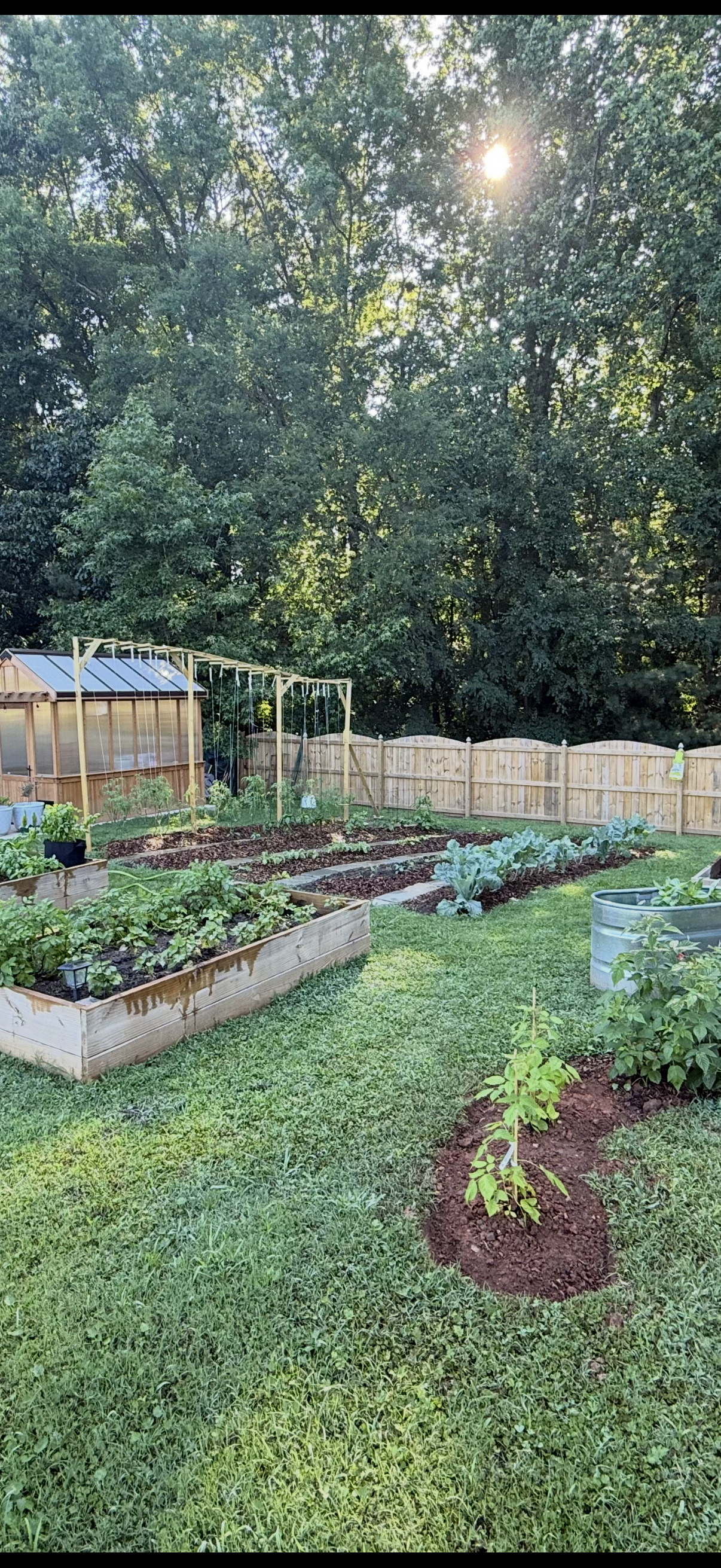 Michelle Braat’s garden with raised beds and greenhouse