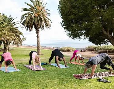 Autumn Wellness Retreat