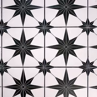 Black and white star-patterned mosaic tile flooring