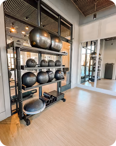 Gym storage rack holding medicine balls and BOSU balls near mirrors