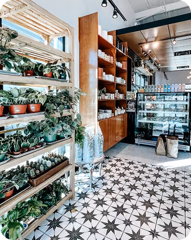 Restaurant retail shelving with potted plants and a star-patterned tile floor