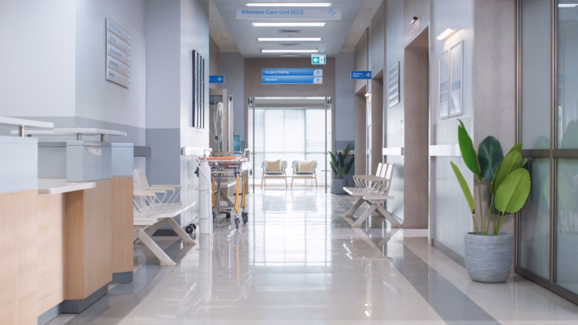 violence in healthcare