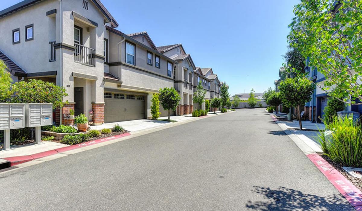 Townhomes with road view