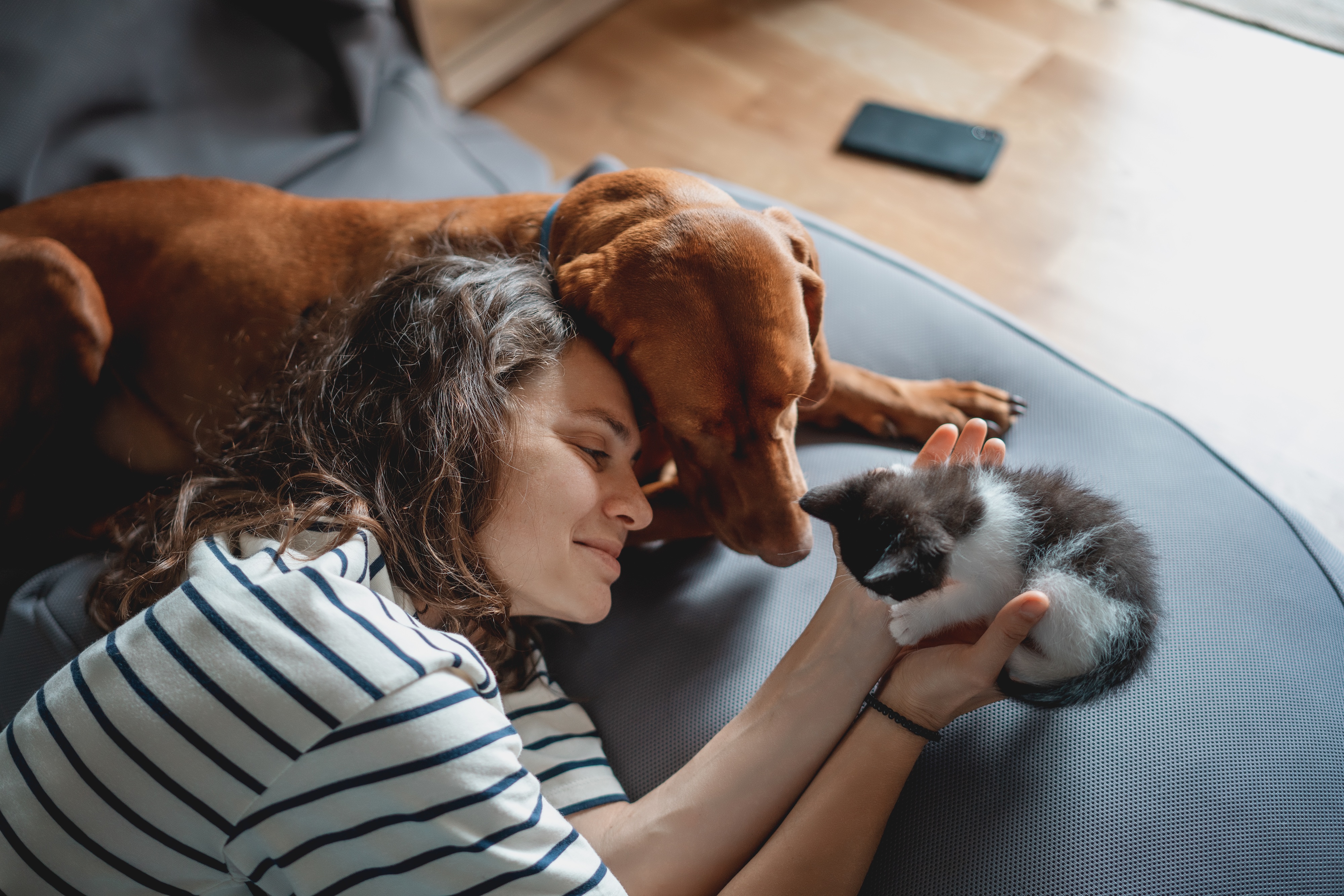 Girl holding kitten and dog on couch with her stock image