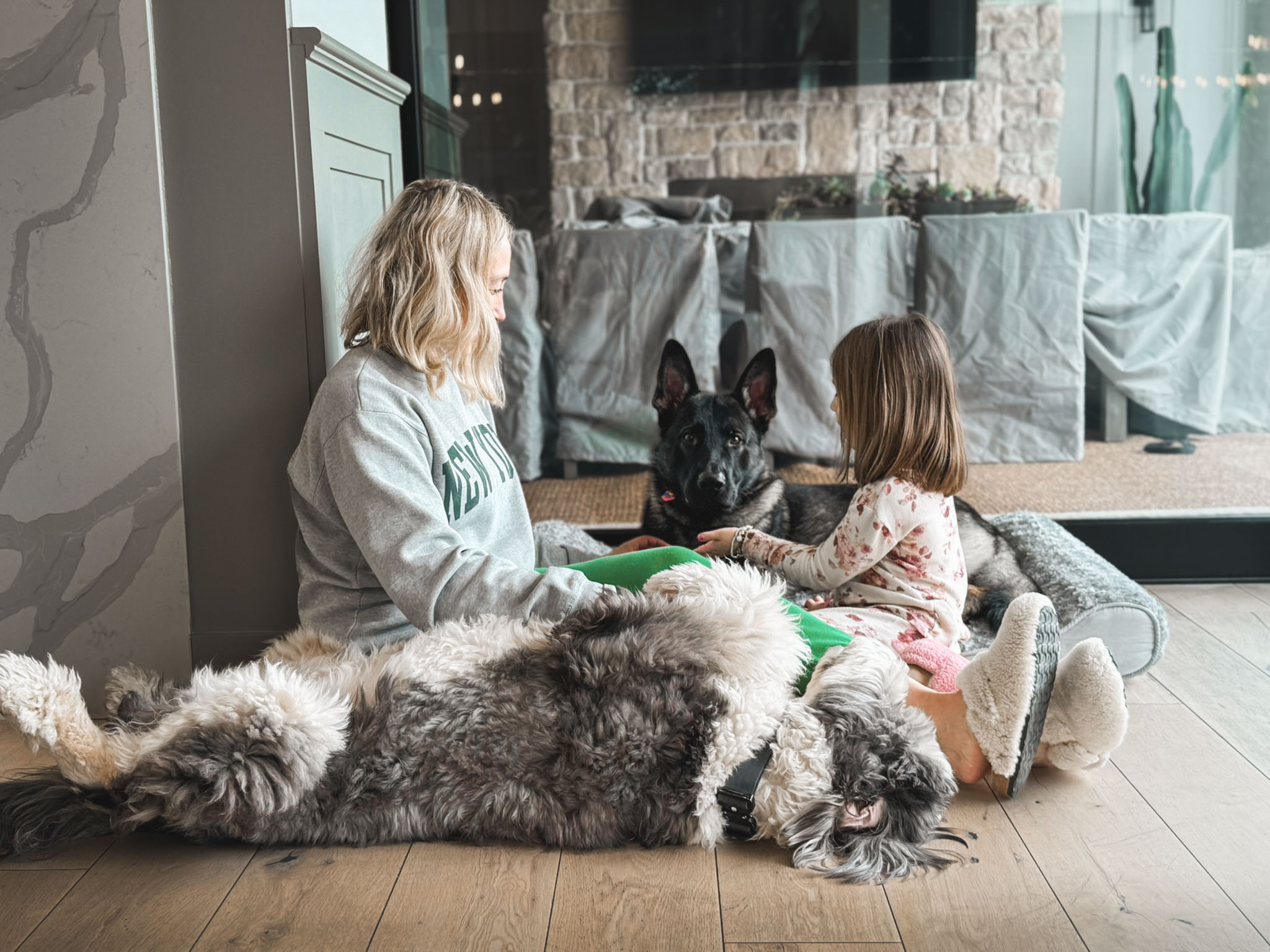 Buy Guard Dog