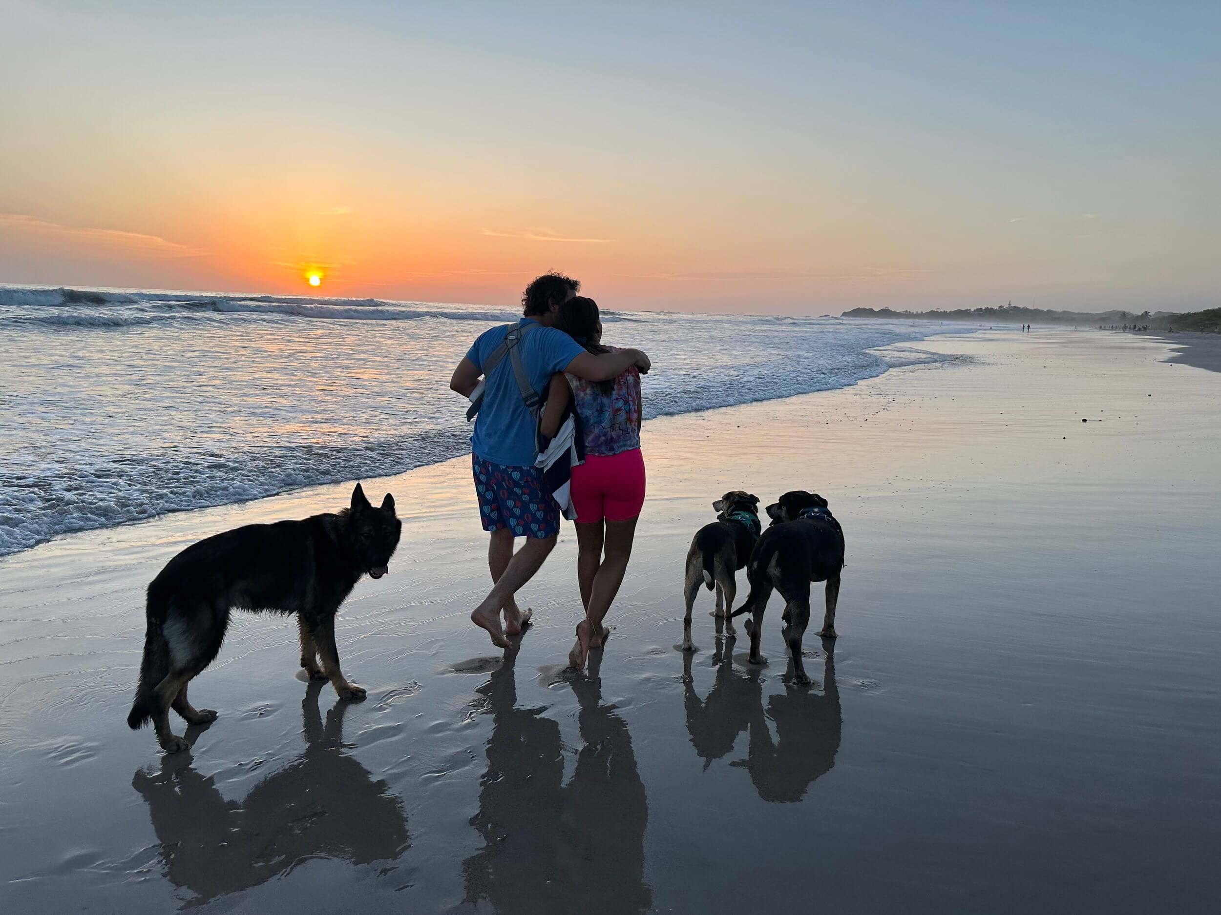 Will You Have to Make Sacrifices?: How a Personal Protection Dog Fits into Your Everyday Lifestyle | Canine Protection International