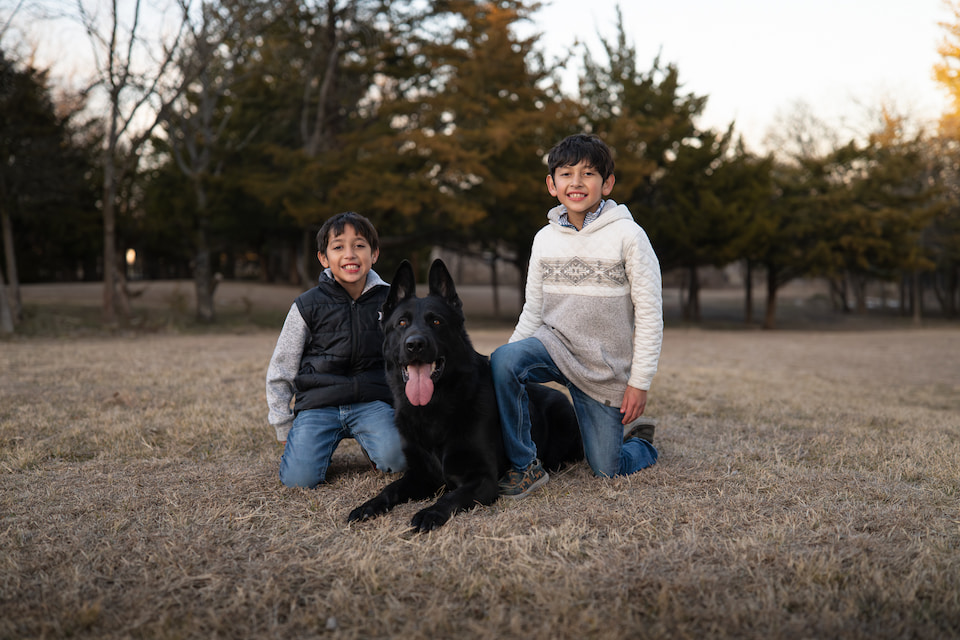 Understanding CPI’s Pricing for Elite Protection Dogs | Canine Protection International