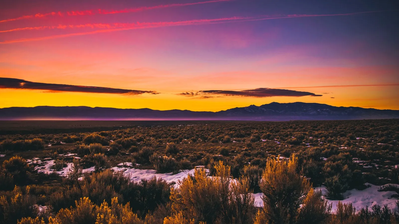 Hobbs, NM