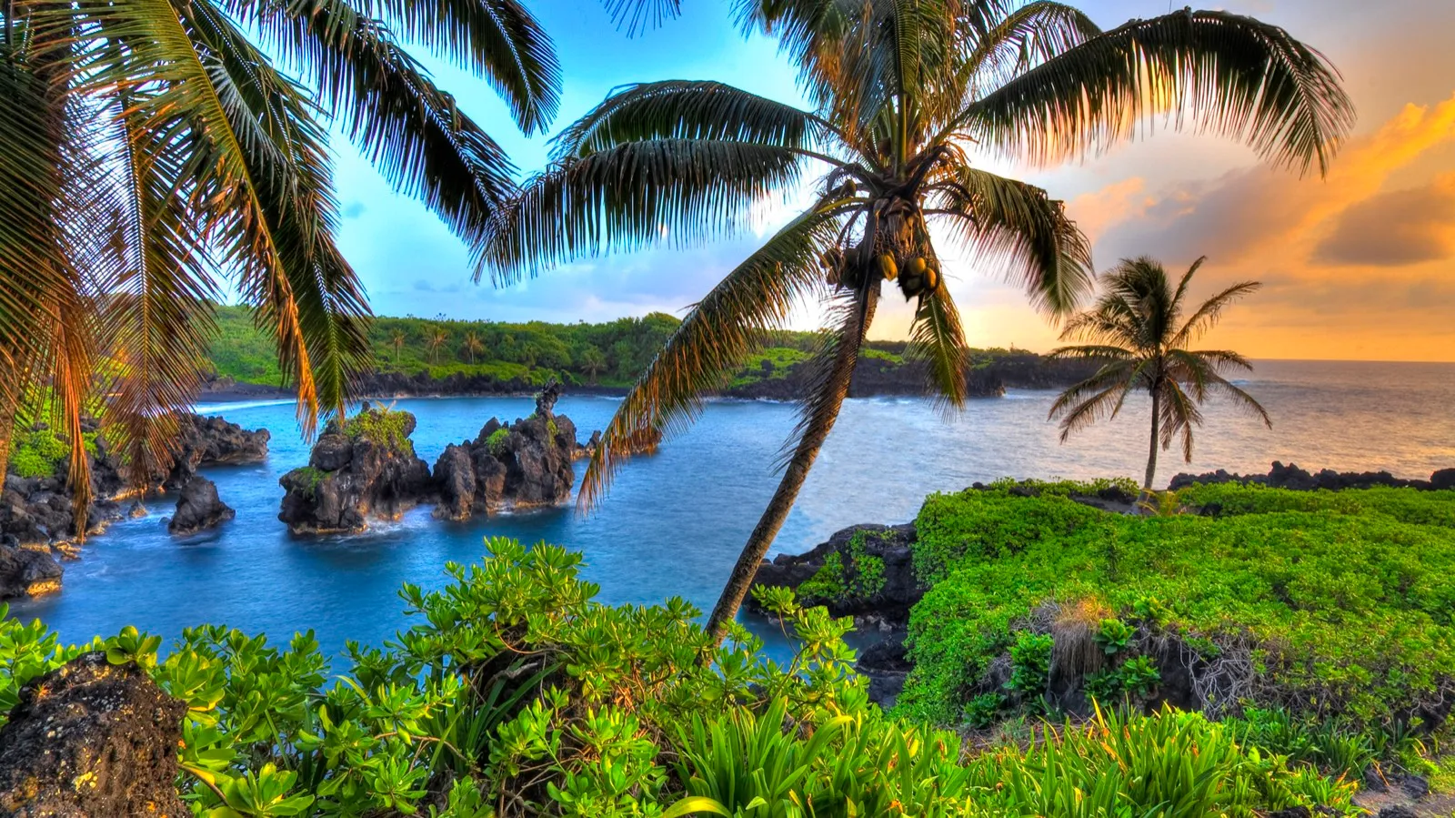 Hilo, HI