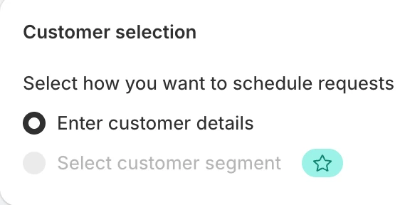 Screenshot: Judge.me Select customer segment option with a star.