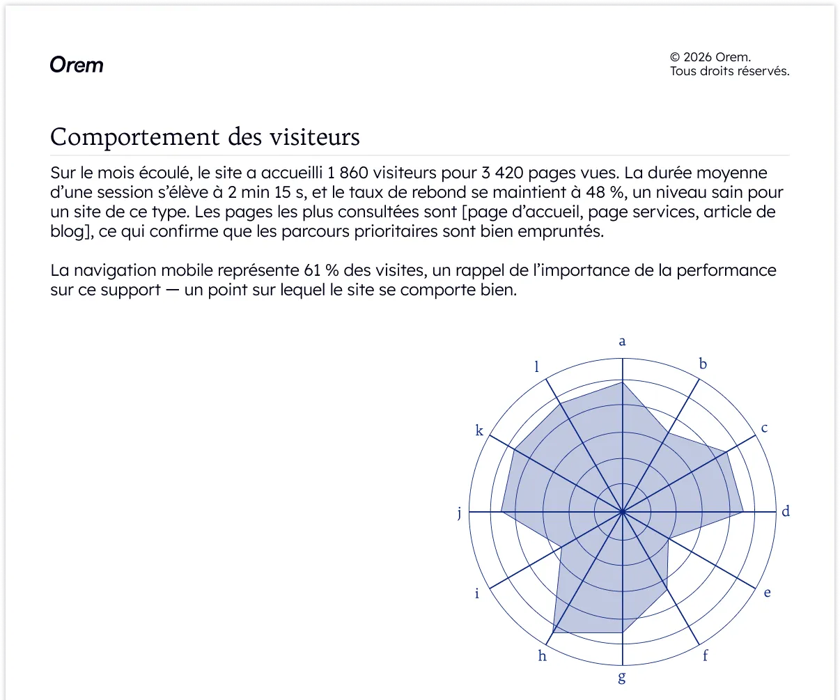 Capture d'un rapport Orem présentant le comportement des visiteurs avec un graphique radar