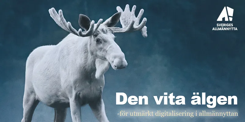 Den vita älgen - pris från Sveriges Allmännytta för utmärkt digitalisering i allmännyttan