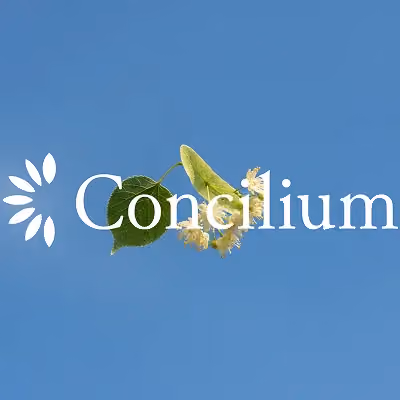 Capture d'écran du site web réalisé pour Concilum - Le Recruteur