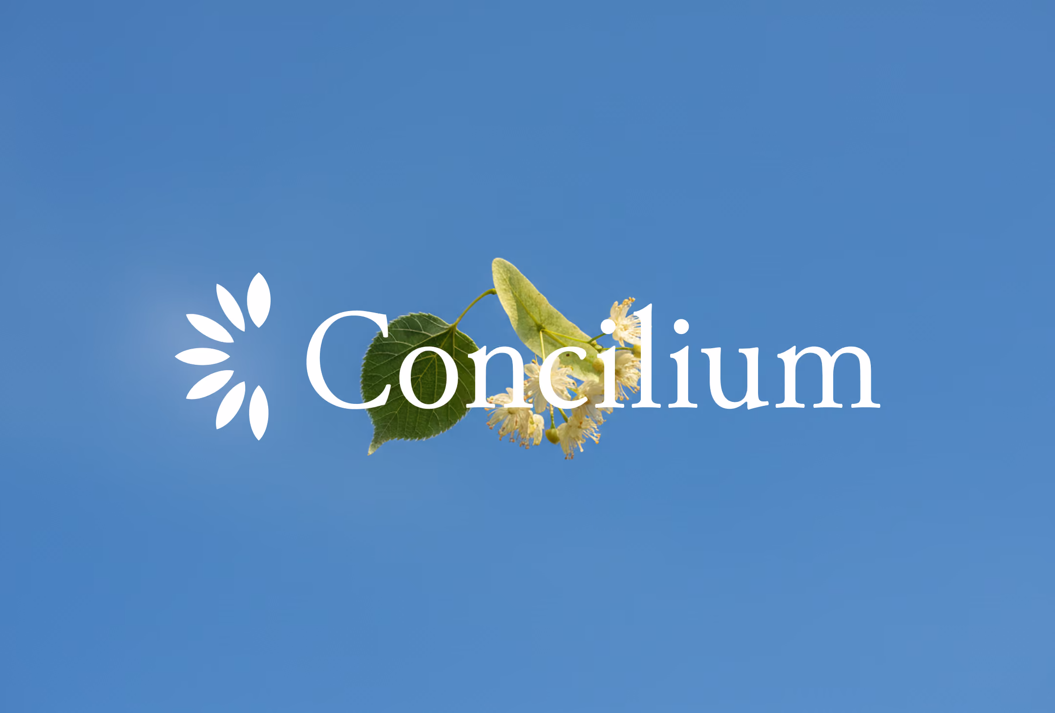 Capture du site web réalisé pour Concilium - Le Recruteur