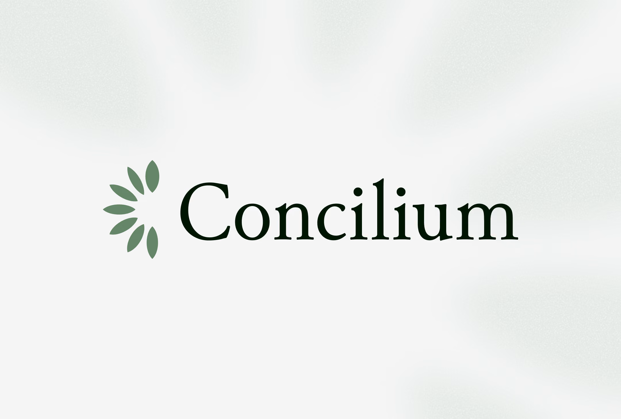 Capture du site web réalisé pour Concilium - Le Recruteur