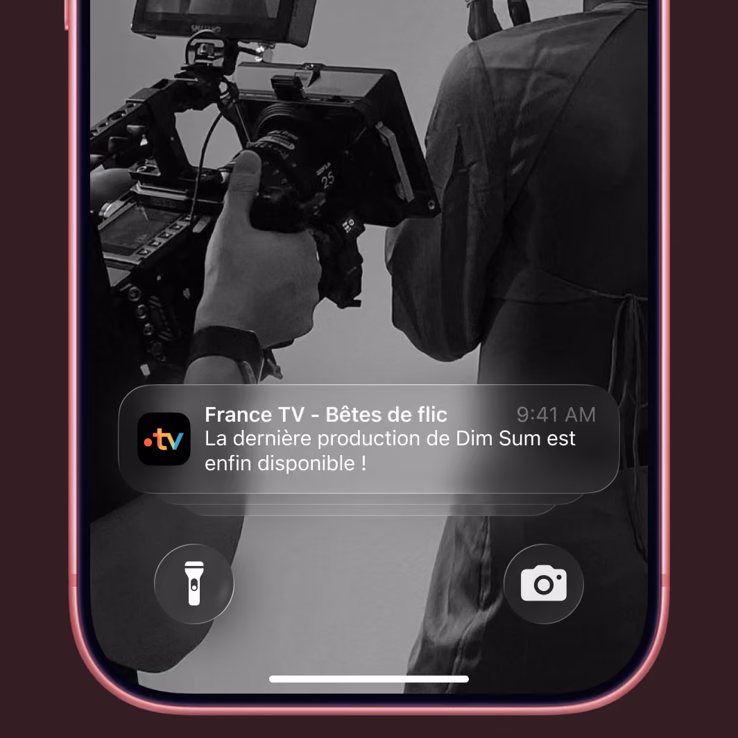 Capture du site web réalisé pour DimSum