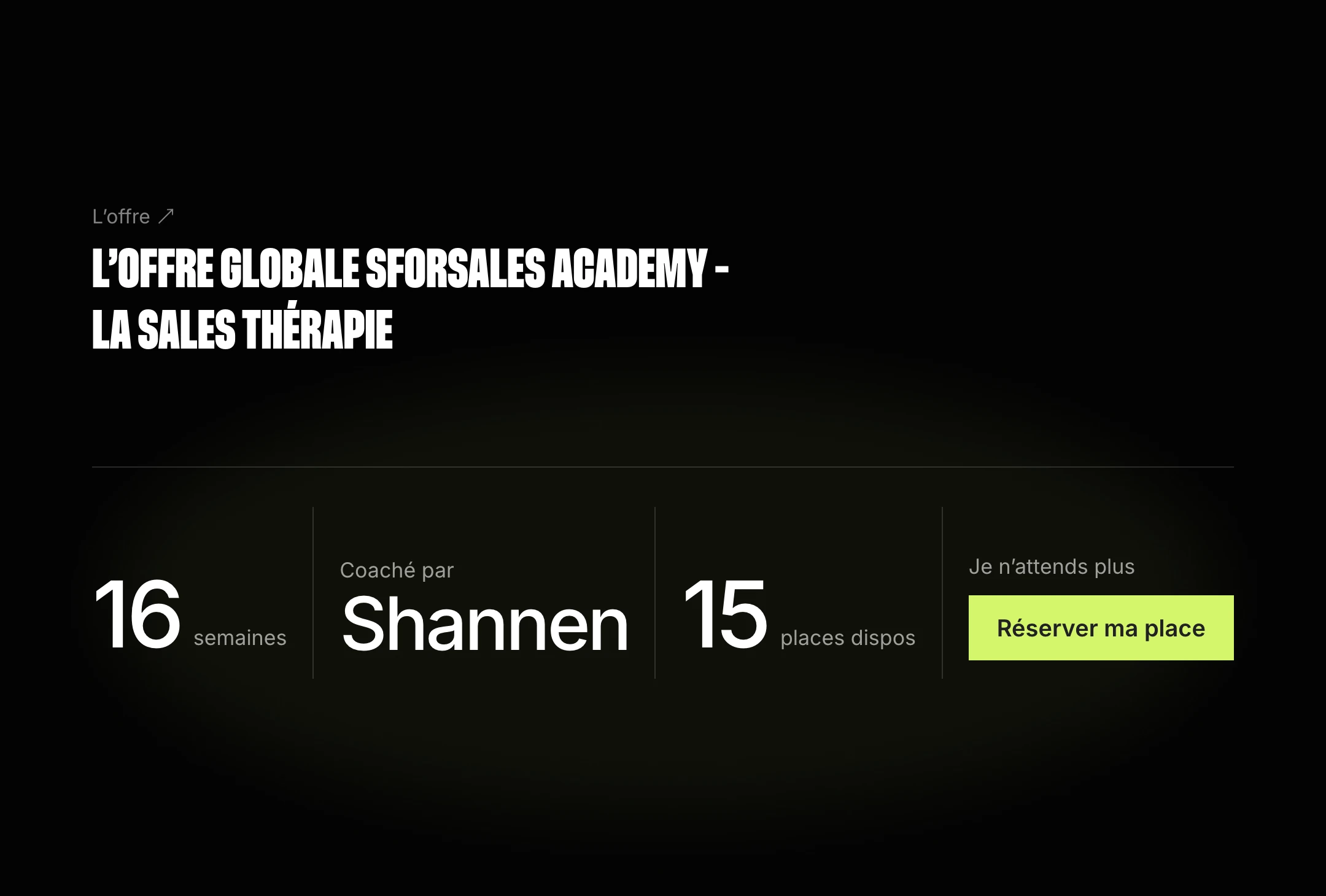 Offre SforSales Academy : 16 semaines coachées par Shannen