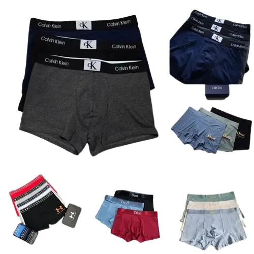 Various Underwear (31 Variants)