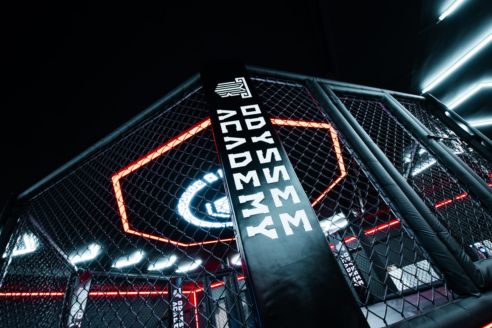 Cage MMA aux couleurs des partenaires