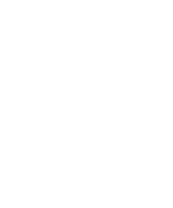 Amethyst Equestrian