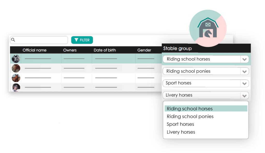 Organise horses in stable groups