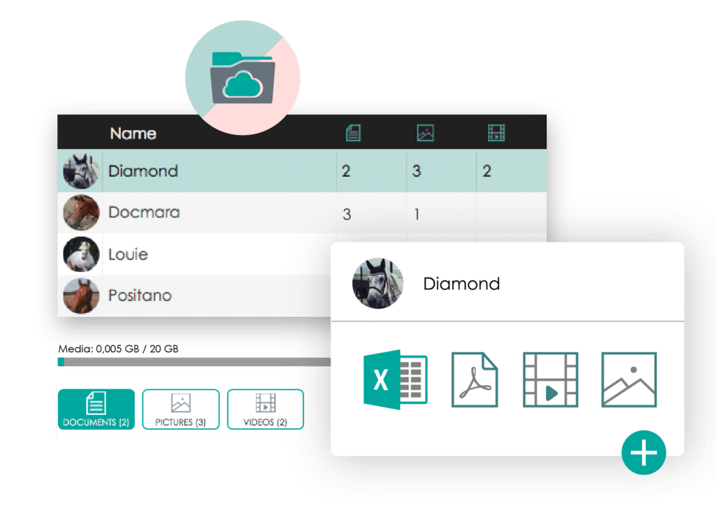 Manage horse media in the cloud