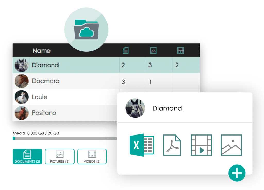 manage horses media