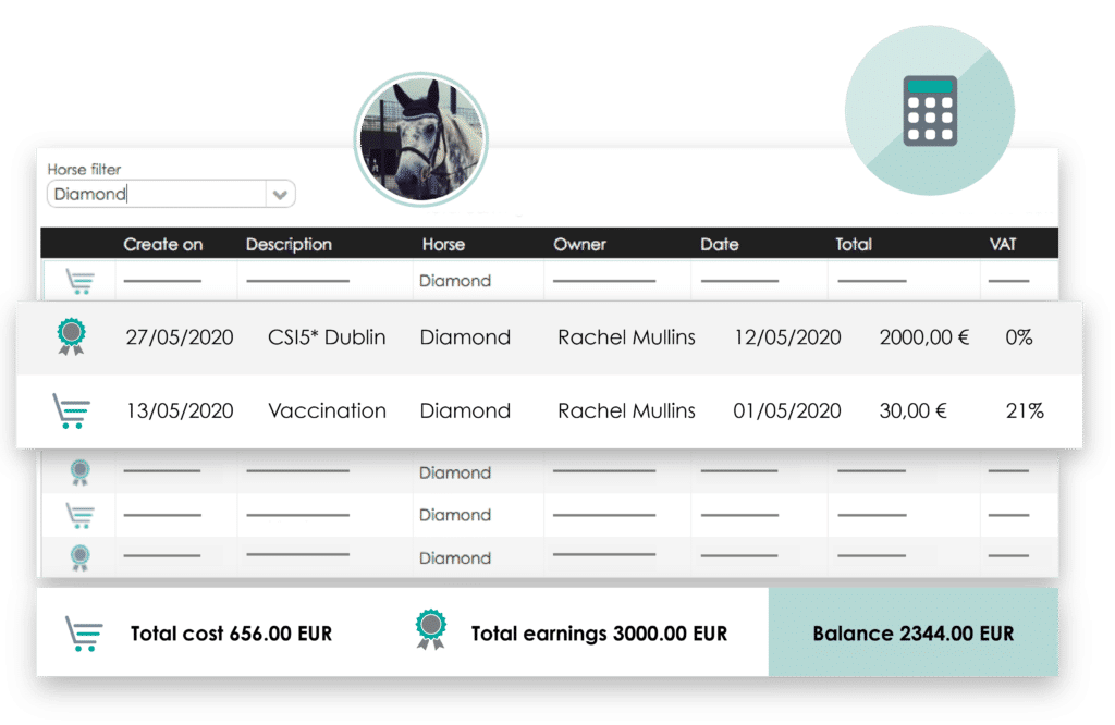 Horses financial status