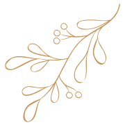 Simple brown line drawing of a leafy branch with small round buds on a white background.