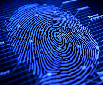 How Does Fingerprinting Work?