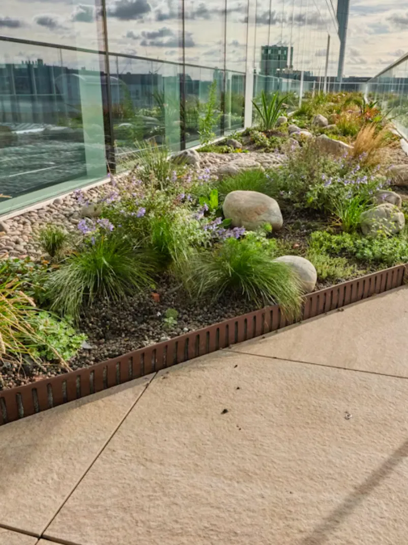 RoofEdge landscape edging product image