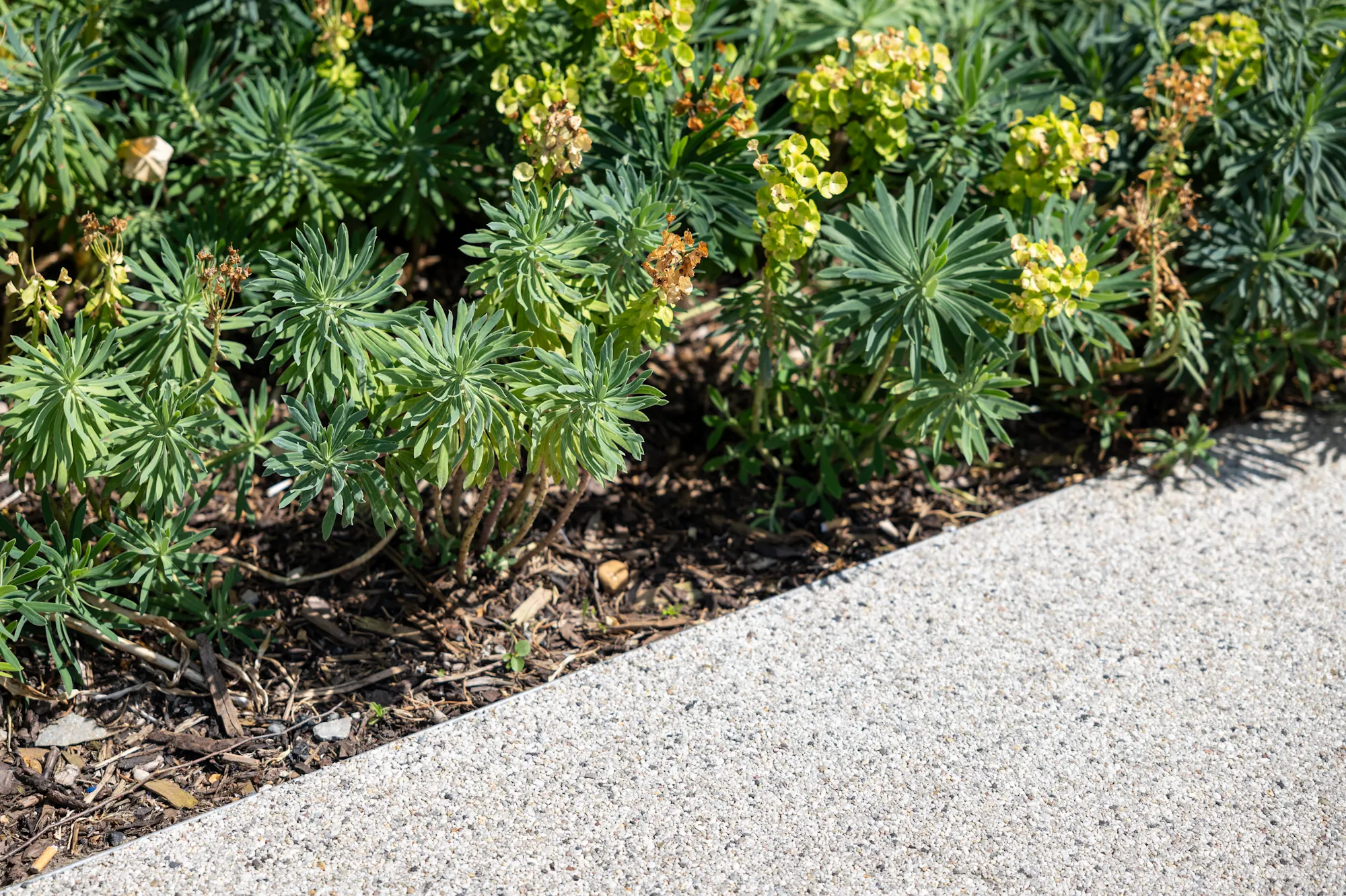 Fort landscape edging application