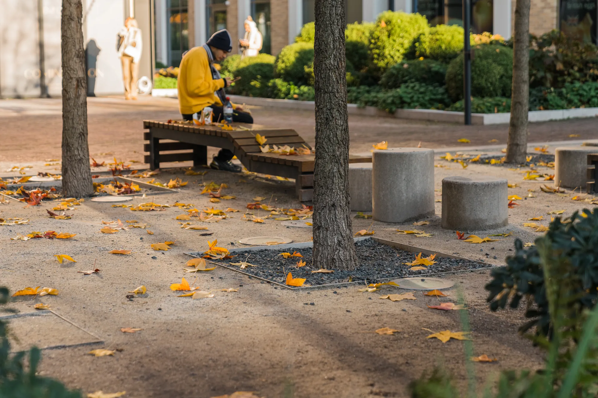 Prince Wales Drive landscape project